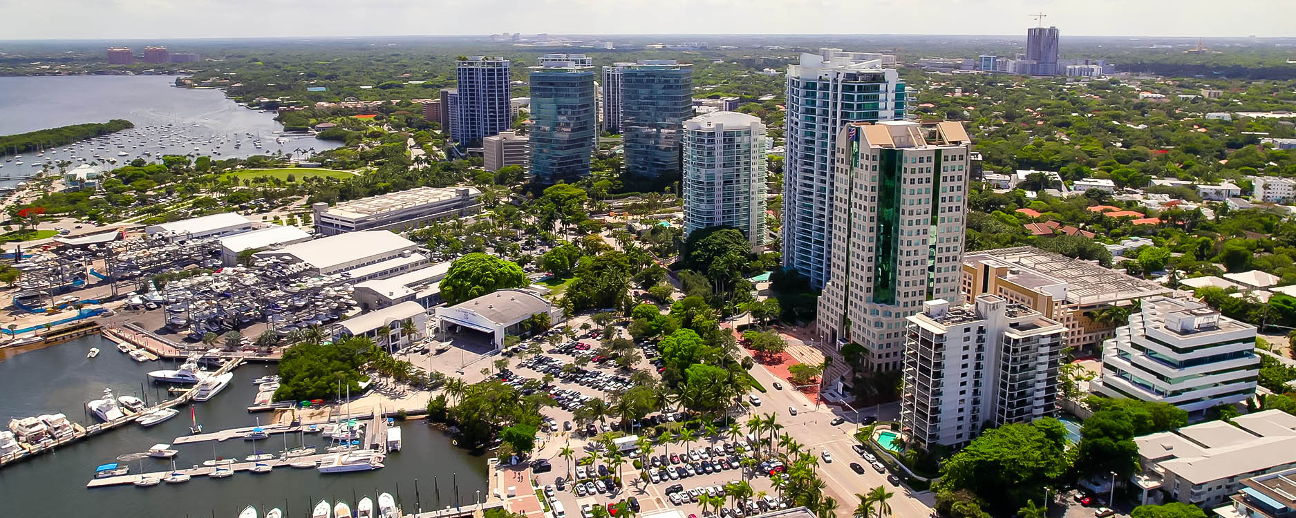 Coconut Grove Condos/Townhomes