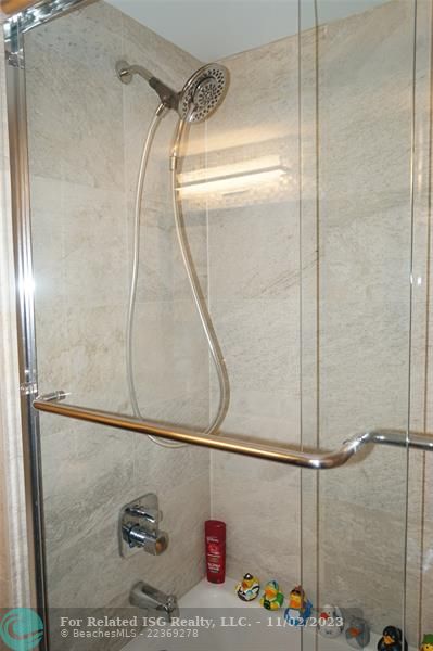 Primary Shower