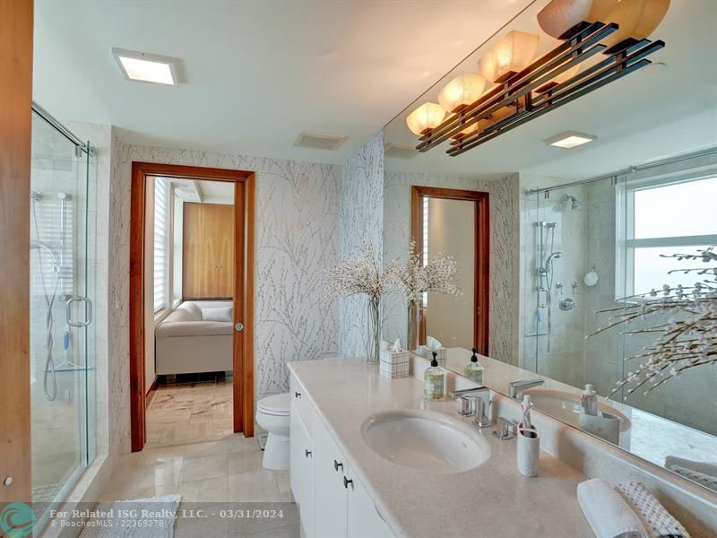 Guest bath with remodeled shower
