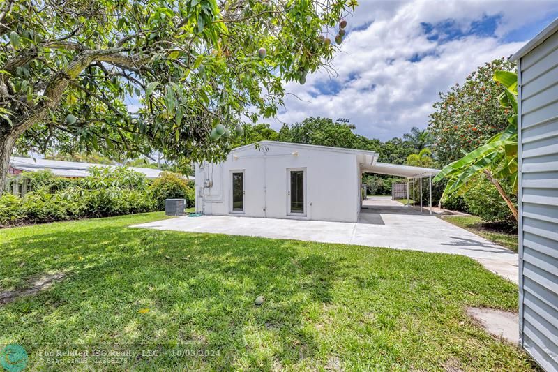 Backyard with beautiful mango tree.  View of back patio and carport.