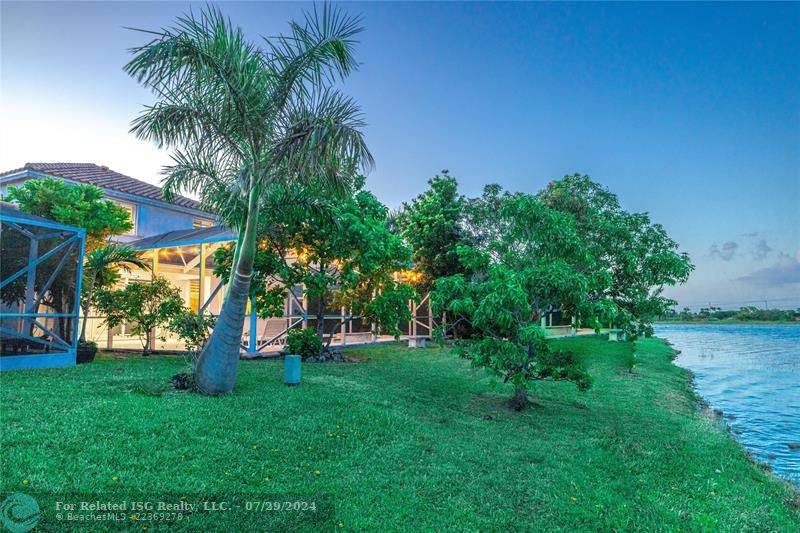 A charming bench sits between the shady trees that flank the screened in patio.