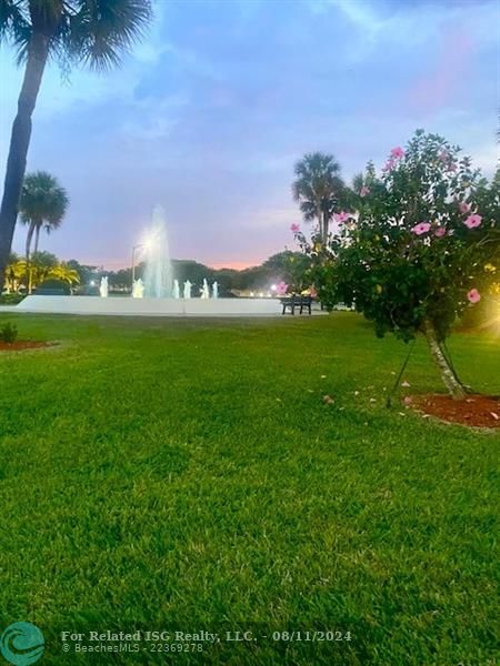 Your View of the Fountain!