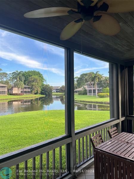 View From the Patio