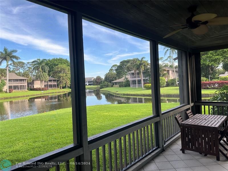 View From the Patio/Living Room