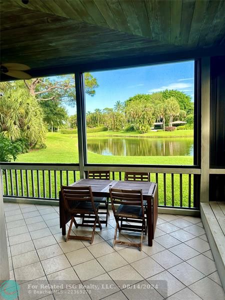 View From the Patio