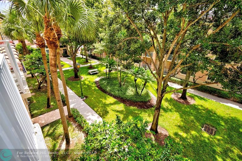 courtyard views