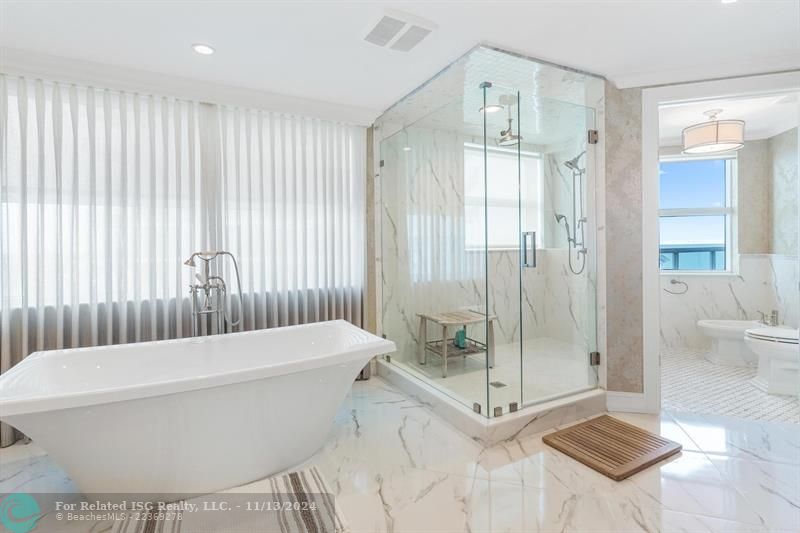 Master Bath & Walk In Shower