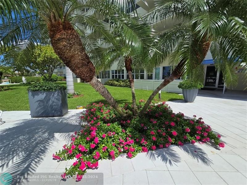 Tropical Grounds entering the Pool Area