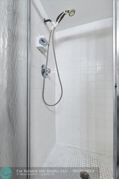 Primary Shower