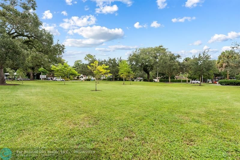 Green spaces, running track