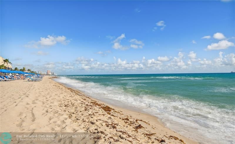 Ocean views looking north. Every day is a beach day here!