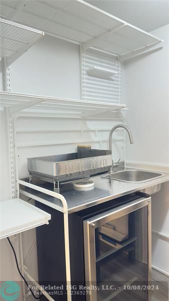 Wine Refrigerator & Sink