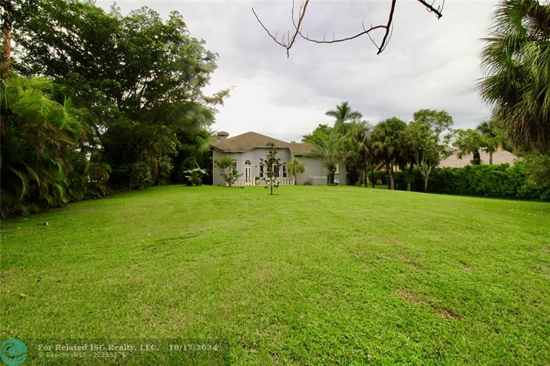 BACK YARD FROM PROPERTY LINE