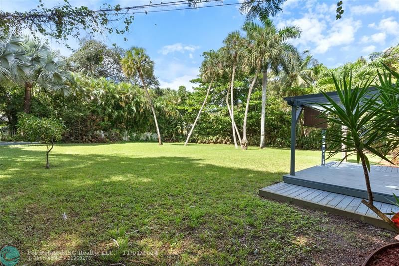 Massive Backyard. plenty of room for a pool.