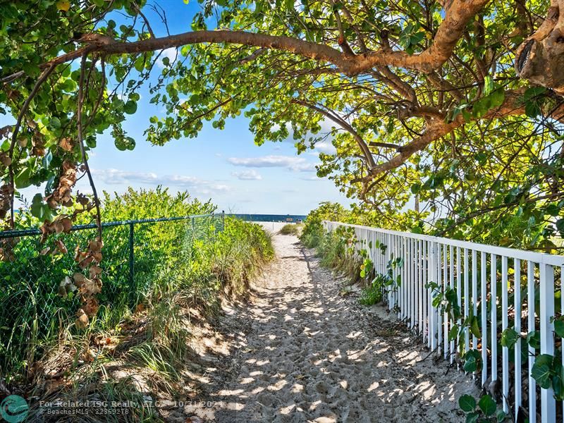 Pathway To The Beach