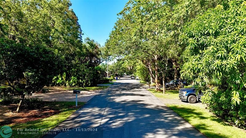 Street looking West