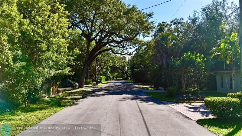 Street looking East