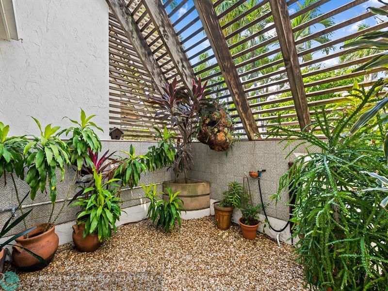 Courtyard off the kitchen