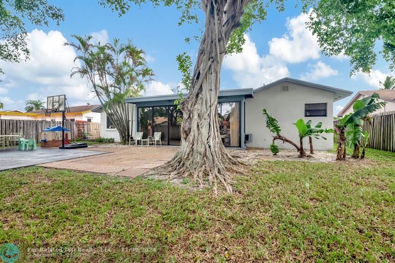 Large sport and basketball court for tons of family fun