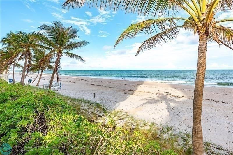 The beach facing north.