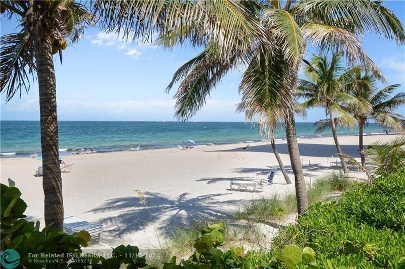 The beach facing south.