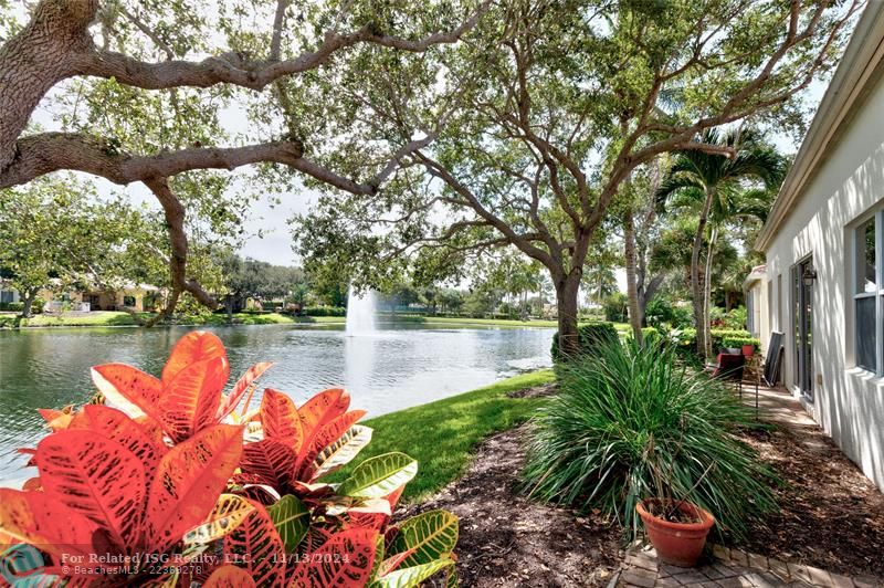 Beautiful back yard