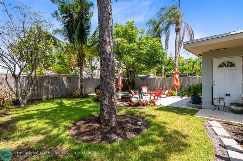 Cozy and sunny backyard