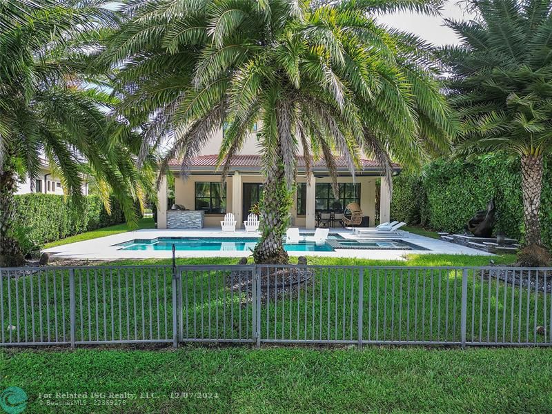 Tropical Backyard .....with Statement Palms with Nighttime Illumination