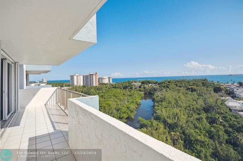 Looking NE over Bonnet House