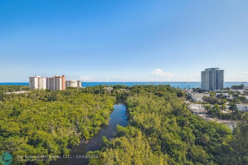 Direct East view over Bonnet House