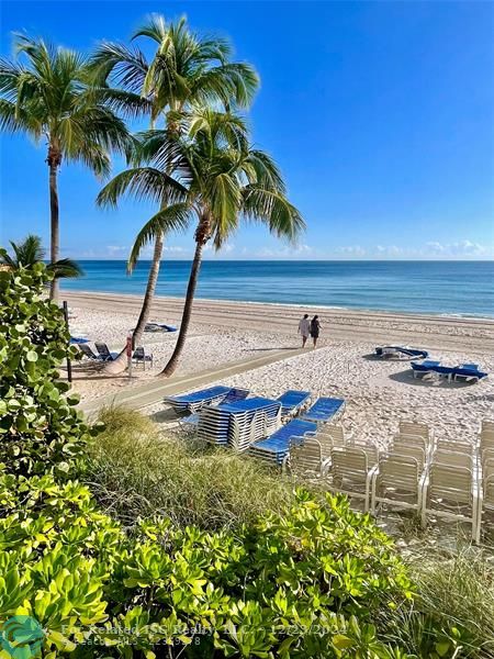 Beach Loungers/Chairs