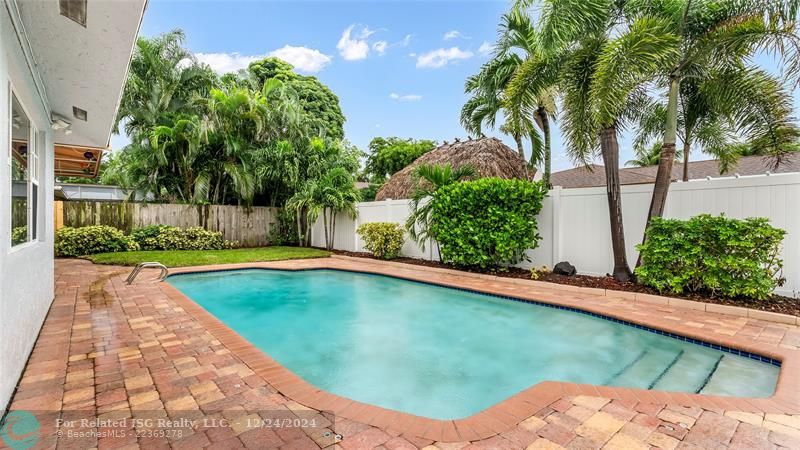 Pool - Huge paved patio with covered bar and jacuzzi