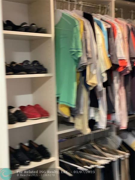 Walk-in Primary/Owner's Closet