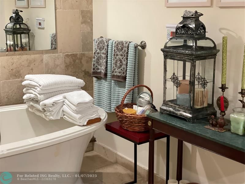 Designer Jacuzzi Bathtub in Primary/Owner's Bathroom