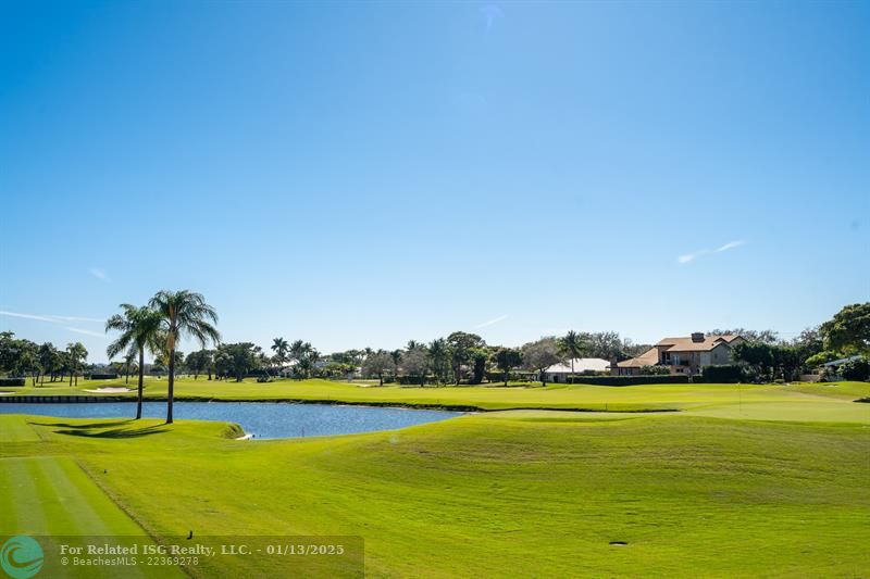 Golf Course View